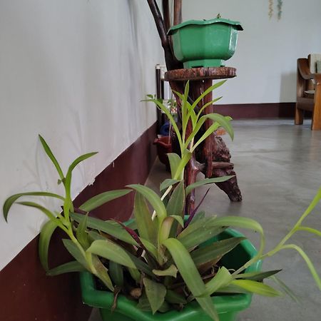 Gayatri Homestay Дибругар Екстериор снимка