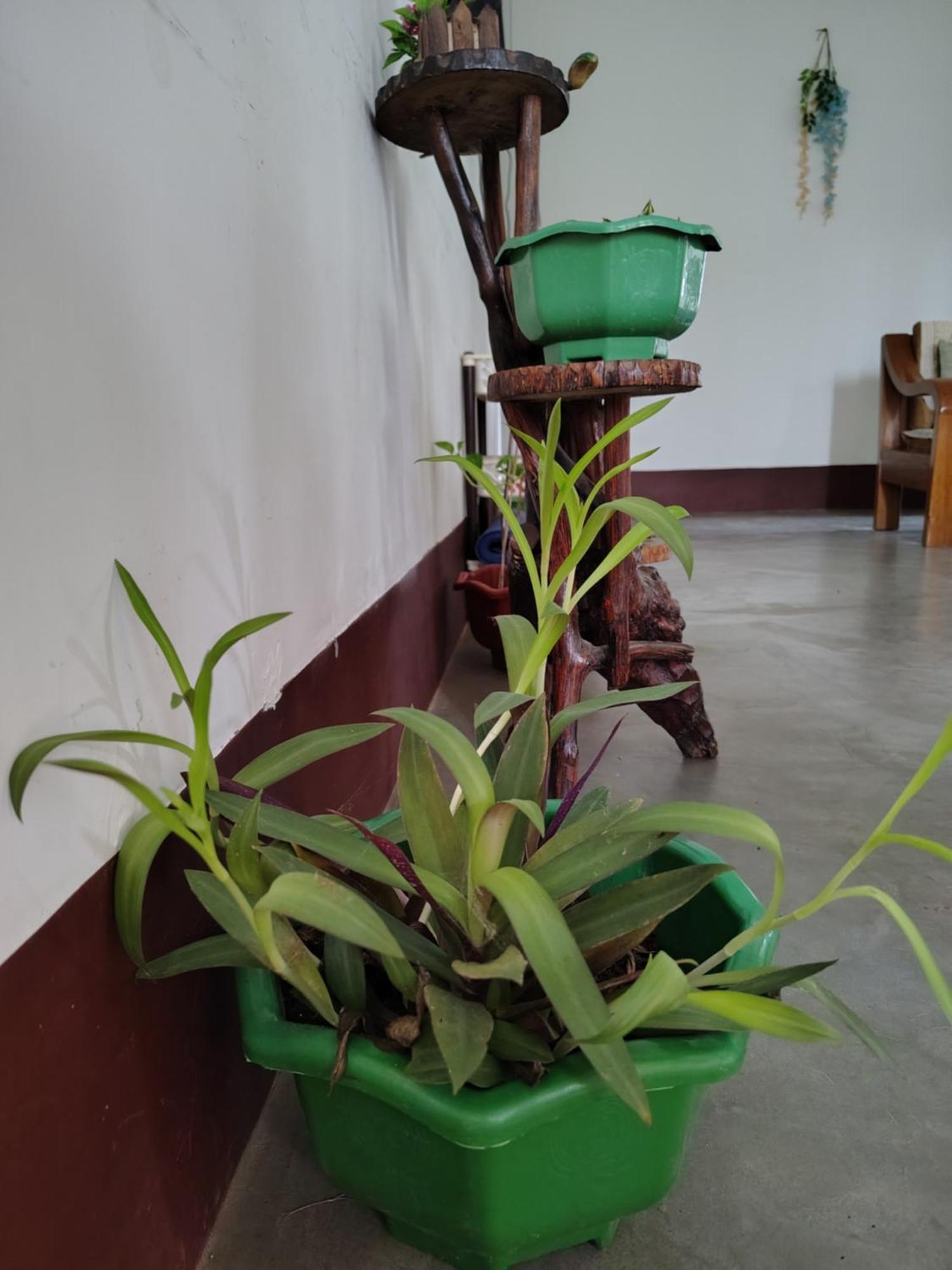 Gayatri Homestay Дибругар Екстериор снимка